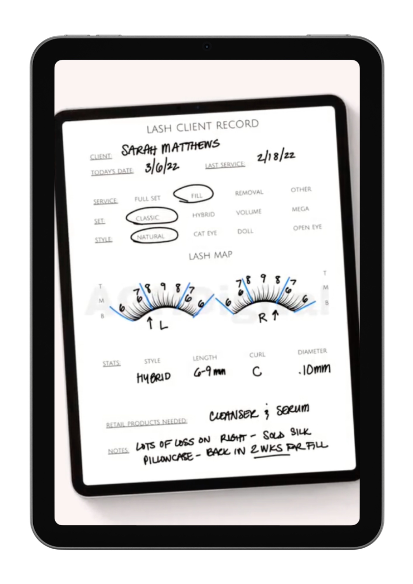 Client lash card + social media planner